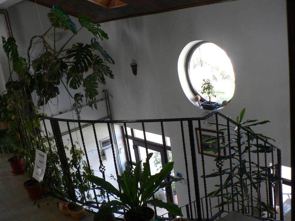 Casa Havana (Adults Only) Costineşti Exteriér fotografie