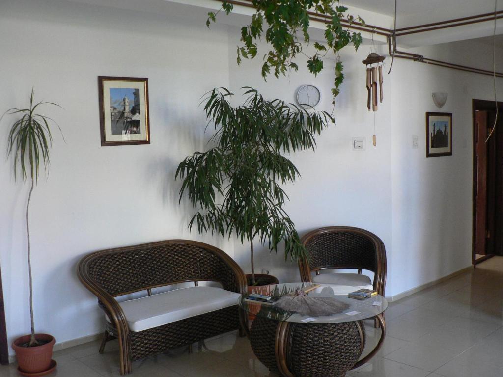 Casa Havana (Adults Only) Costineşti Exteriér fotografie