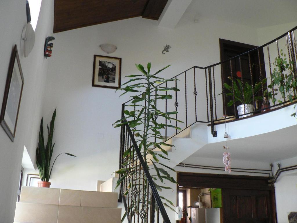 Casa Havana (Adults Only) Costineşti Exteriér fotografie