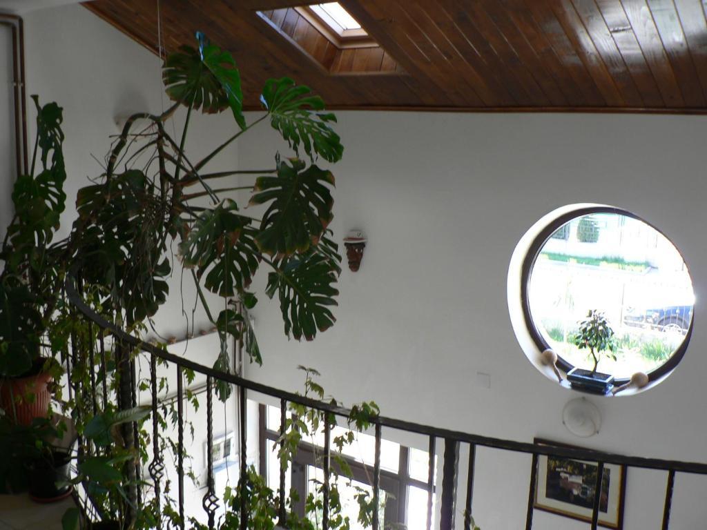 Casa Havana (Adults Only) Costineşti Exteriér fotografie