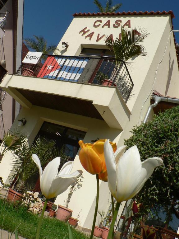 Casa Havana (Adults Only) Costineşti Exteriér fotografie
