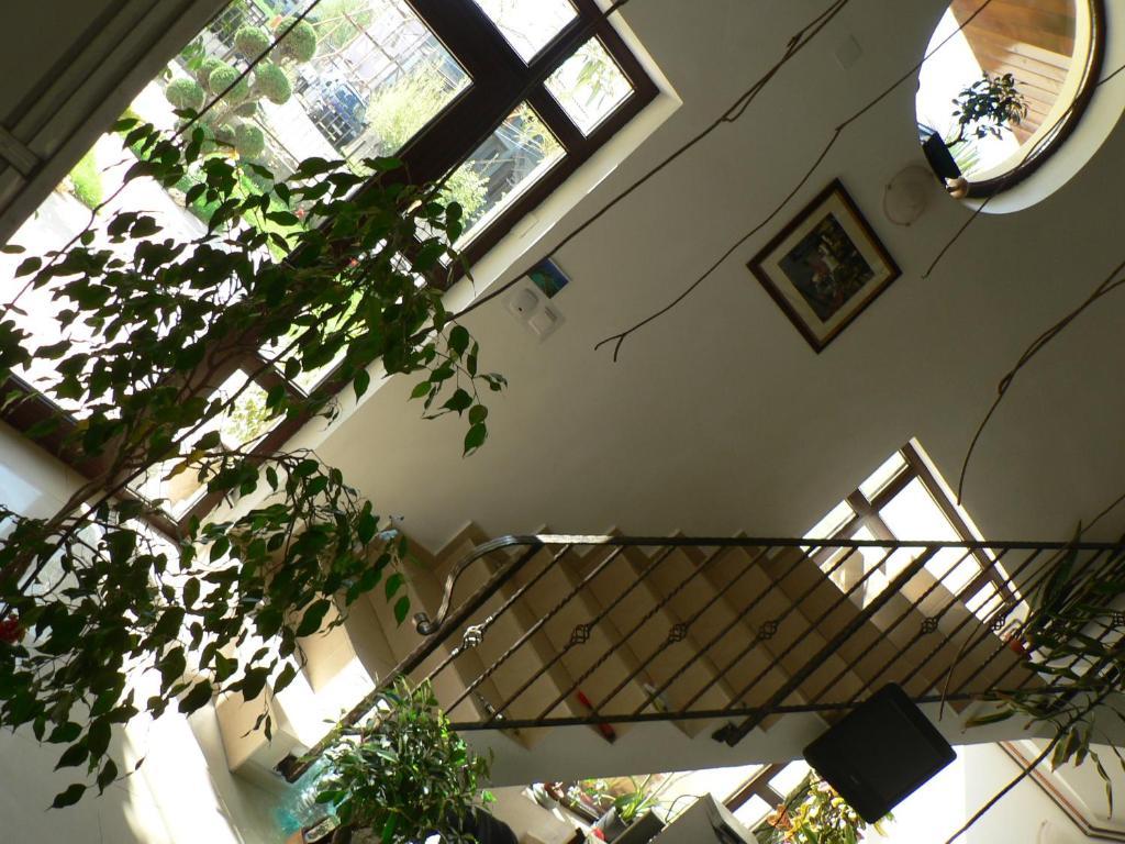 Casa Havana (Adults Only) Costineşti Exteriér fotografie